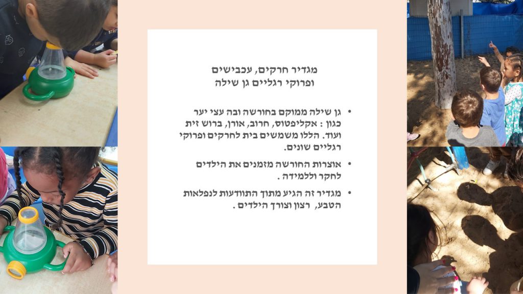 מגדיר חרקים, זוחלים ופרוקי רגליים גן שילה by itzik nachum - Illustrated by מיטל עזר נחום  2022 - Ourboox.com