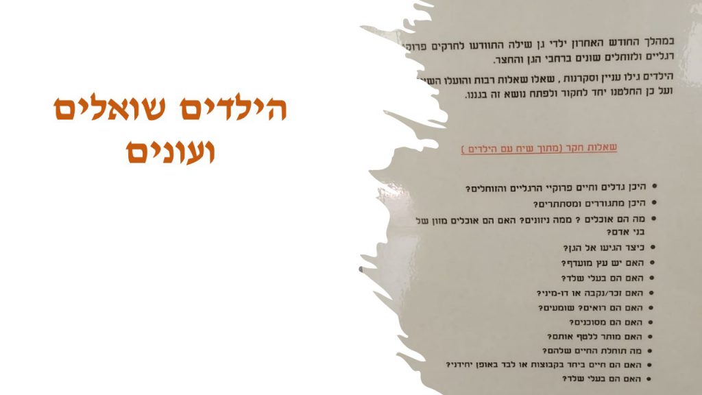 מגדיר חרקים, זוחלים ופרוקי רגליים גן שילה by itzik nachum - Illustrated by מיטל עזר נחום  2022 - Ourboox.com