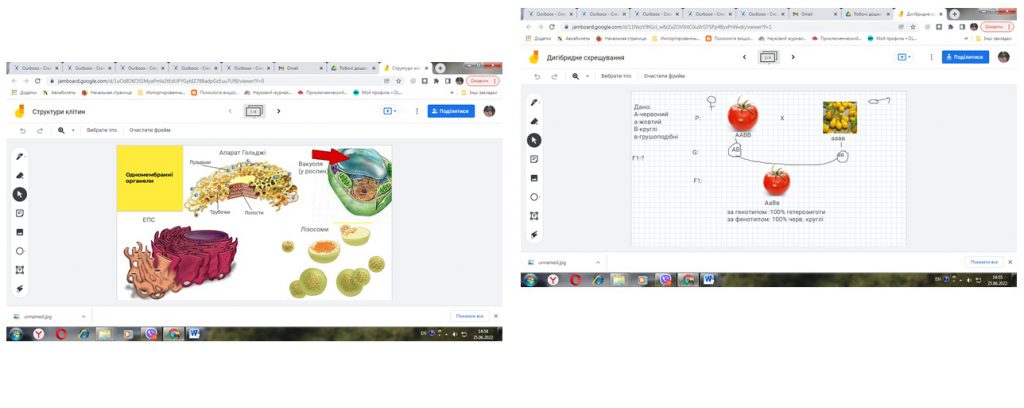 ЗВІТ про роботу комісії природничо-математичних дисциплін у 2021-2022 навчальному році by Levchenko Svitlana - Ourboox.com