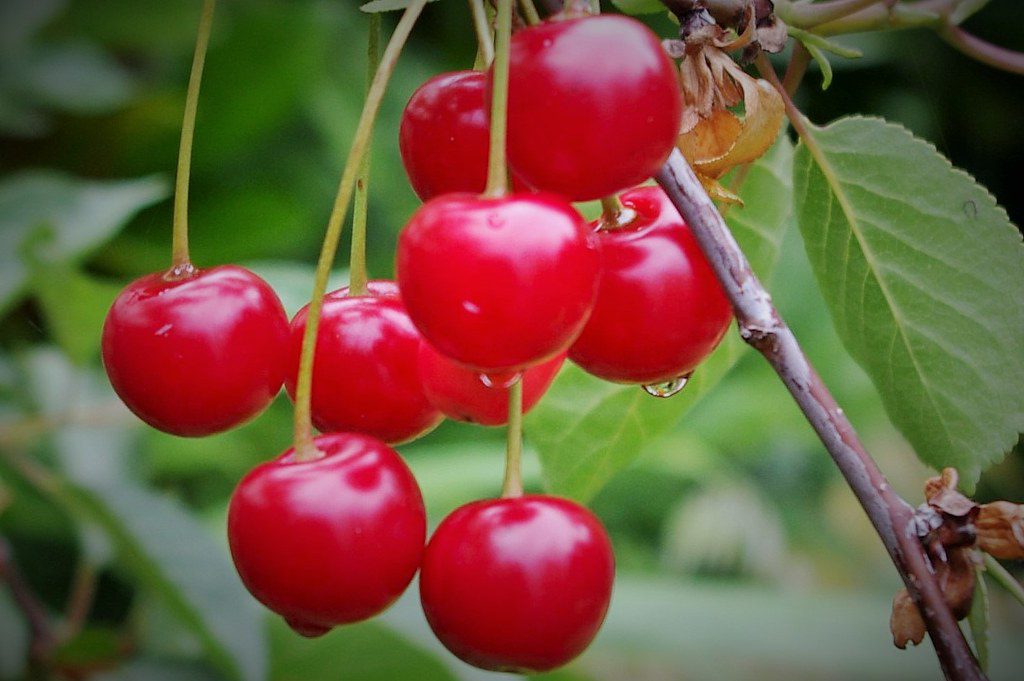 الربيع يداعب مرح وفرح by kadado reem - Ourboox.com