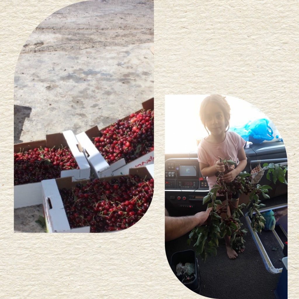 الربيع يداعب مرح وفرح by kadado reem - Ourboox.com