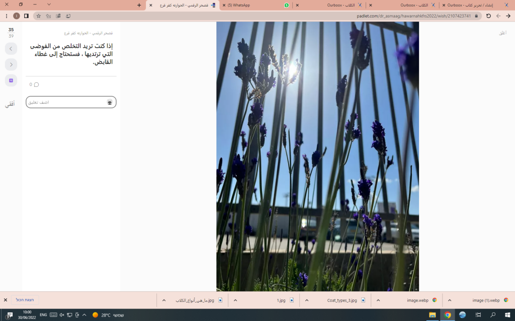 الكلاب by mariam - Ourboox.com