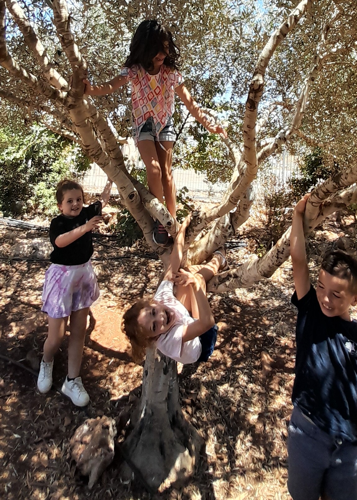 الص ّف األ ّول כיתה א – כיתת ענן, …….איילה أياله יוסרא يسرى ……… בית ספר גליל 2021-2022 by ayala naor - Ourboox.com