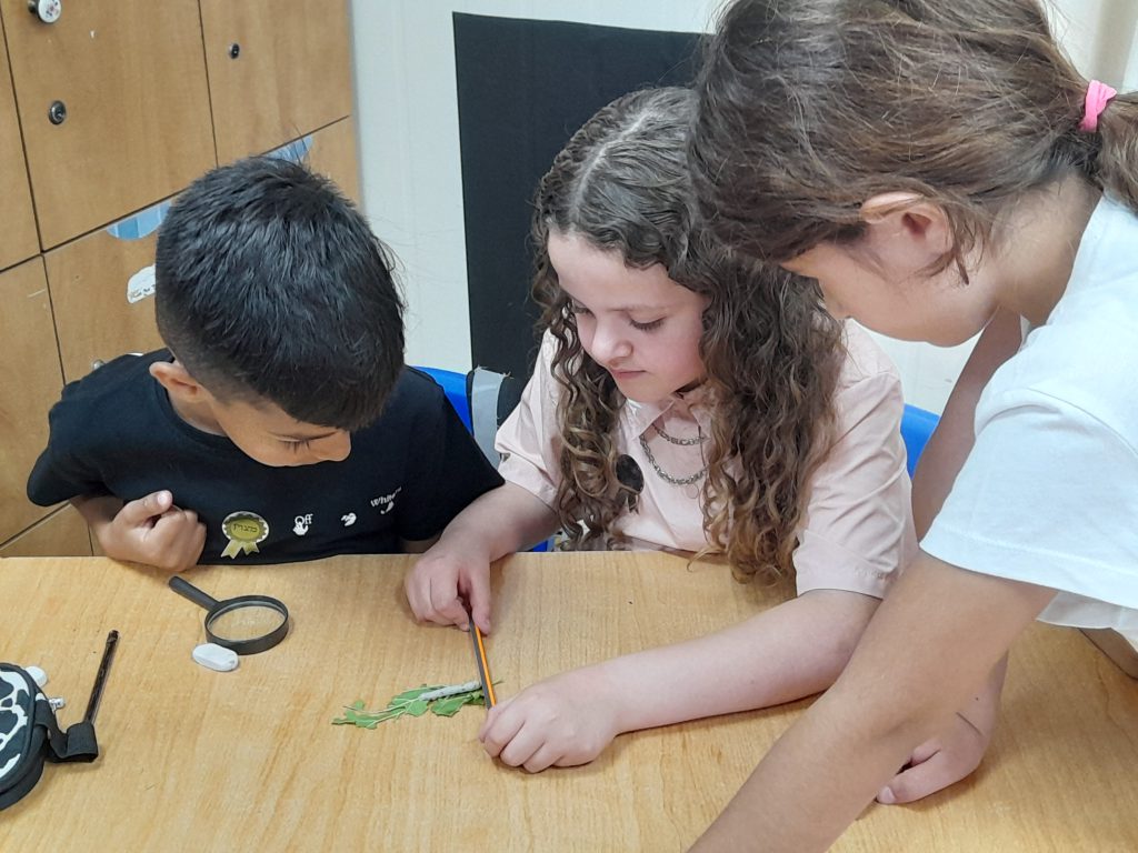 חוקרים-חלזונות