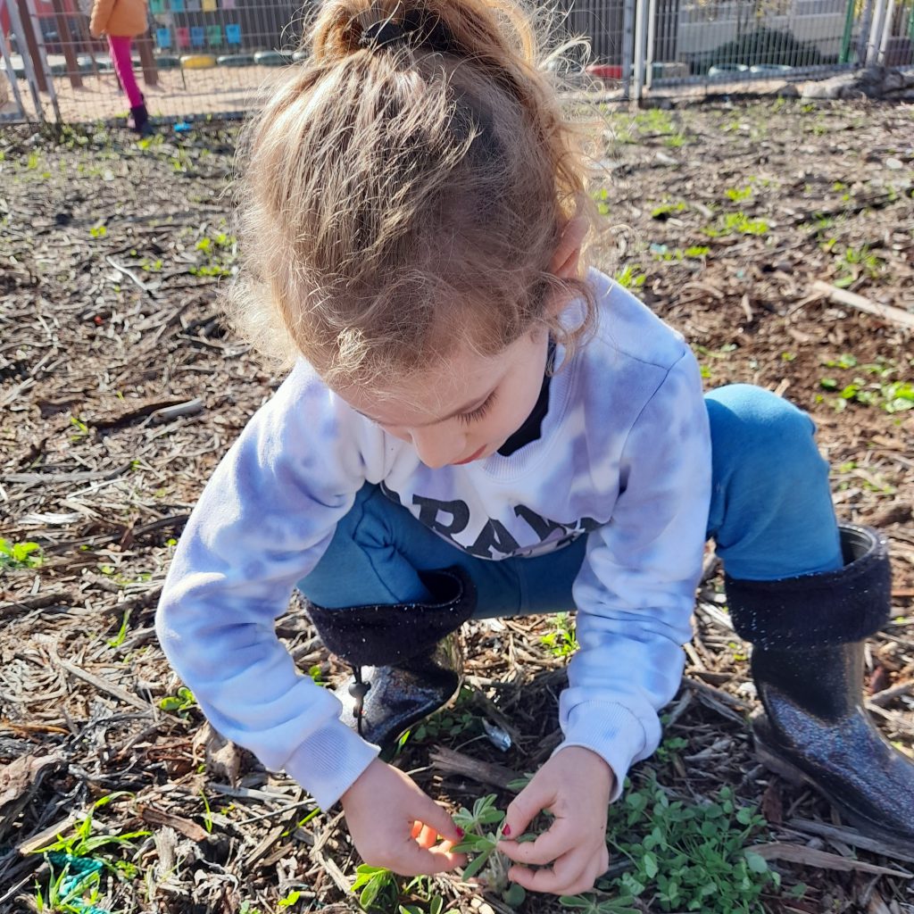 الص ّف األ ّول כיתה א – כיתת ענן, …….איילה أياله יוסרא يسرى ……… בית ספר גליל 2021-2022 by ayala naor - Ourboox.com