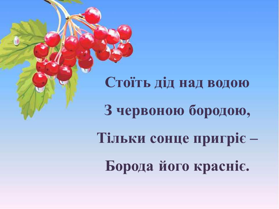 Загадки про калину by Tamila - Ourboox.com