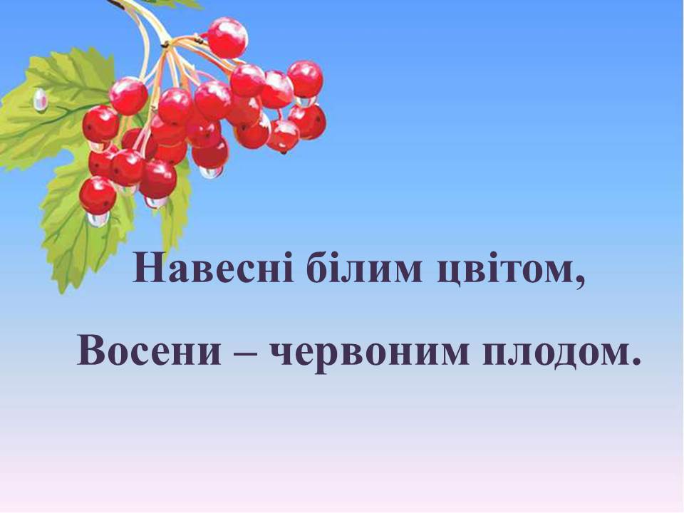 Загадки про калину by Tamila - Ourboox.com