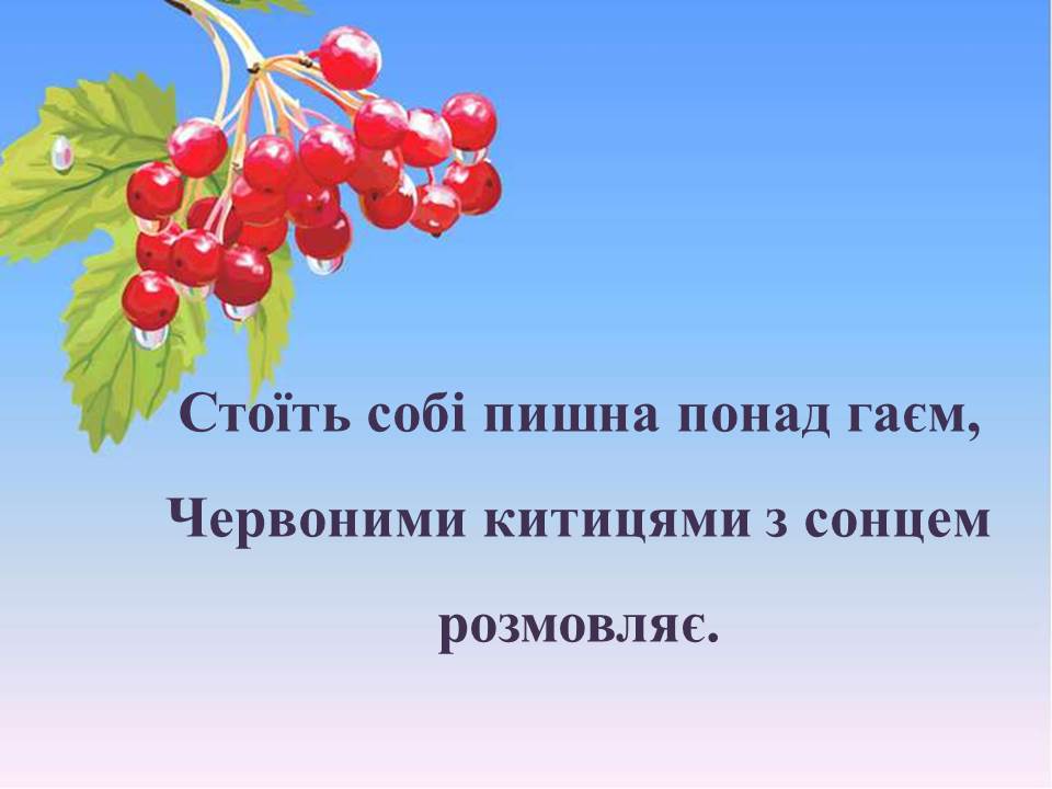 Загадки про калину by Tamila - Ourboox.com