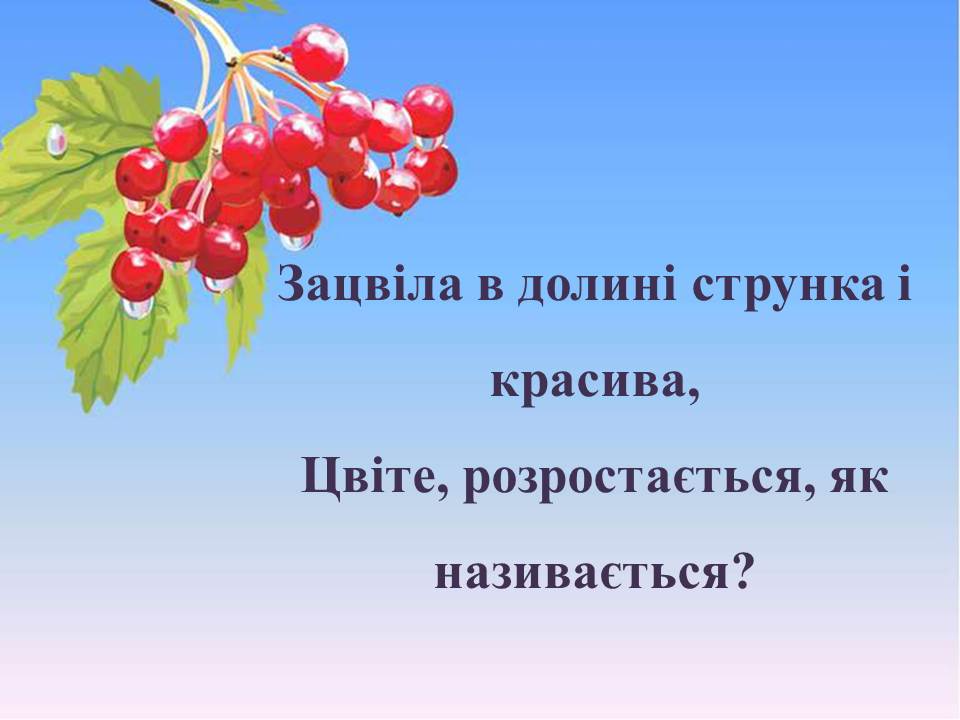 Загадки про калину by Tamila - Ourboox.com