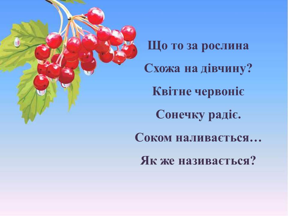 Загадки про калину by Tamila - Ourboox.com