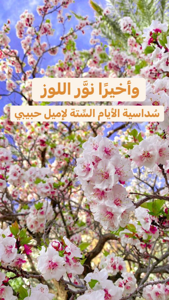 الأدب المحلي – وأخيرًا نوّر اللوز by DEMA Ta - Illustrated by ديـمـة حـجـيـرات - Ourboox.com