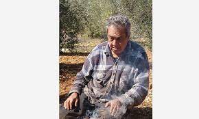 الادب الفلسطيني المحلي by roaa mohra - Illustrated by رؤى مهرة - Ourboox.com