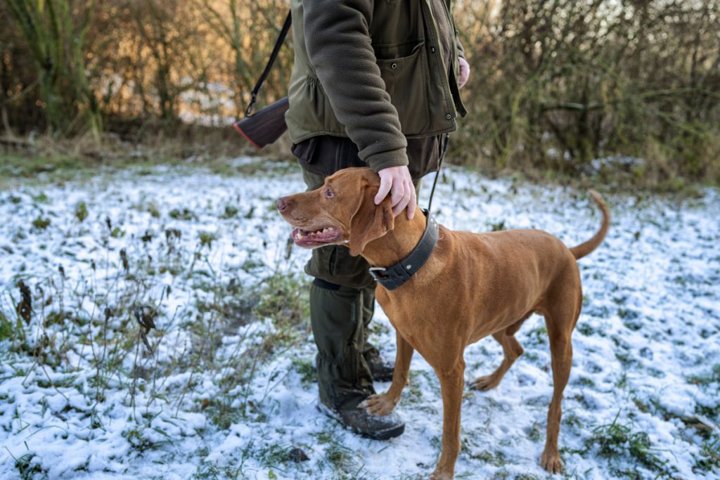 IL CANE by Maria Samiolo - Illustrated by Enrica - Ourboox.com