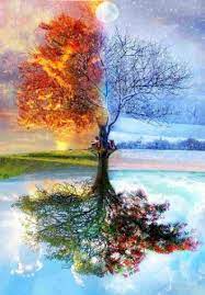 В. Шевчук “Чотири сестри” by Kateruna - Ourboox.com