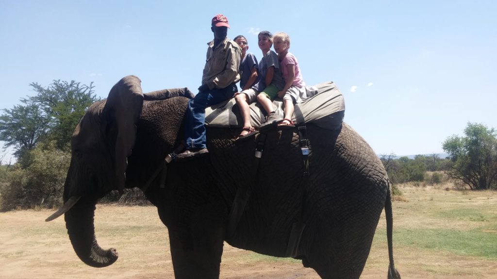 Traveling with my family by avigail - Ourboox.com