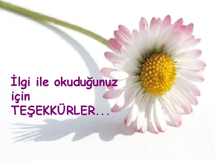 ~GÖÇ HİKAYELERİ~ by ~Sword~  - Ourboox.com