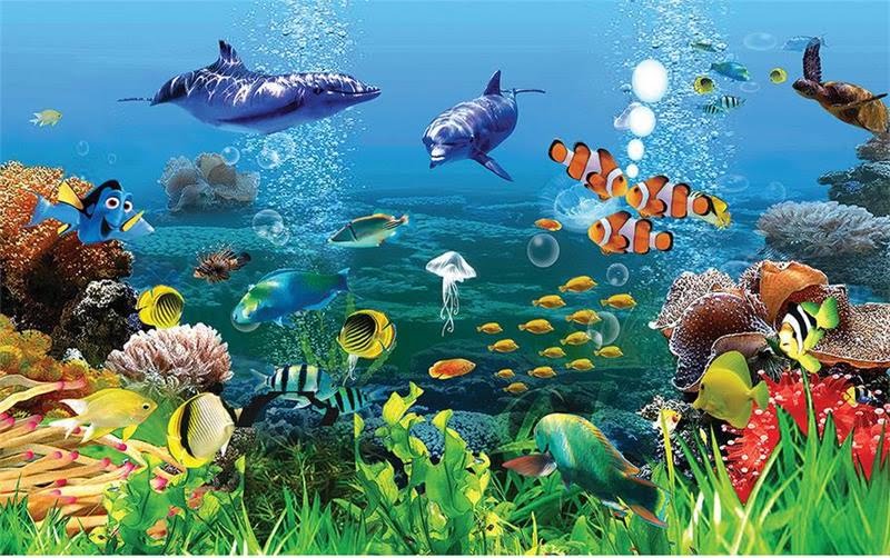 בעלי חיים ” חיות בית , חיות ים, חיות בר” by אסמה אלגואברה - Ourboox.com