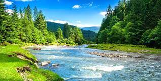 בעלי חיים ” חיות בית , חיות ים, חיות בר” by אסמה אלגואברה - Ourboox.com