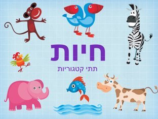 בעלי חיים ” חיות בית , חיות ים, חיות בר” by אסמה אלגואברה - Ourboox.com
