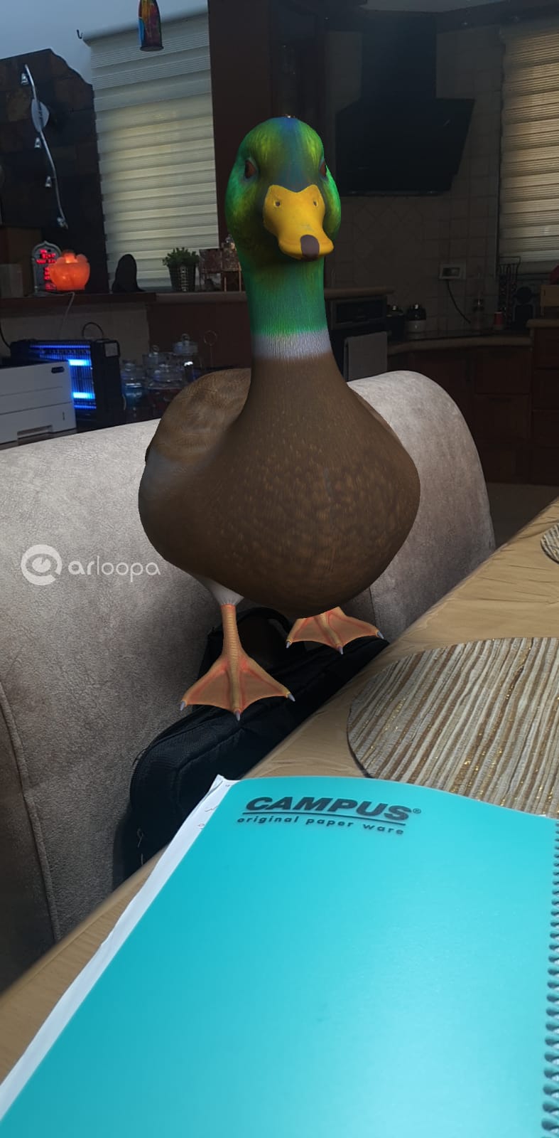 my book by shatha - Ourboox.com