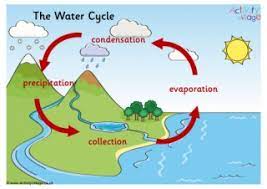 The Water Cycle by Caitlyn Orosz - Illustrated by Google - Ourboox.com