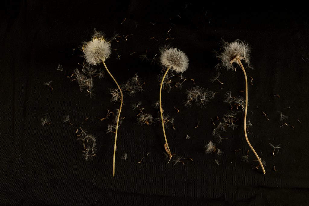 ספרון 1 by yoella Ofir - Ourboox.com