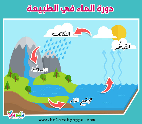 obaida book by Obaida Alian - Ourboox.com