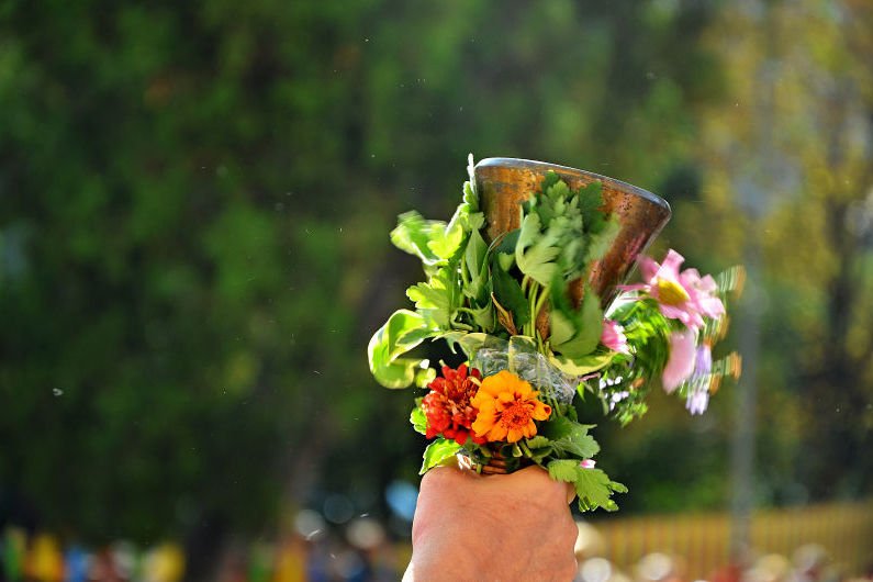 проба by Marina Grisheva Ivanova - Illustrated by Марина Иванова - Ourboox.com