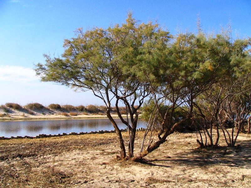 الاسعاف الاولي _الاماكن المفتوحه _الاماكن المغلقة by rand - Ourboox.com