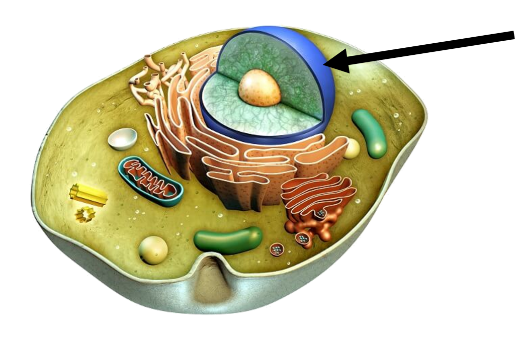 الصلاة by Laila - Illustrated by معلمة - Ourboox.com