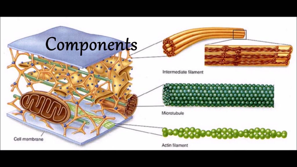 الصلاة by Laila - Illustrated by معلمة - Ourboox.com