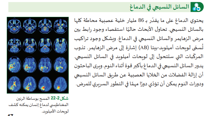 السائل النسيجي في الدماغ by roro - Illustrated by حنان حسين - Ourboox.com