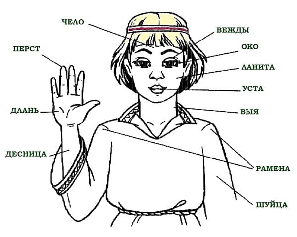 Архаизмы by Irinassssss - Illustrated by Никитина Е., Подкорытова А.,Лундина И. - Ourboox.com