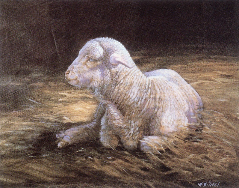 Архаизмы by Irinassssss - Illustrated by Никитина Е., Подкорытова А.,Лундина И. - Ourboox.com