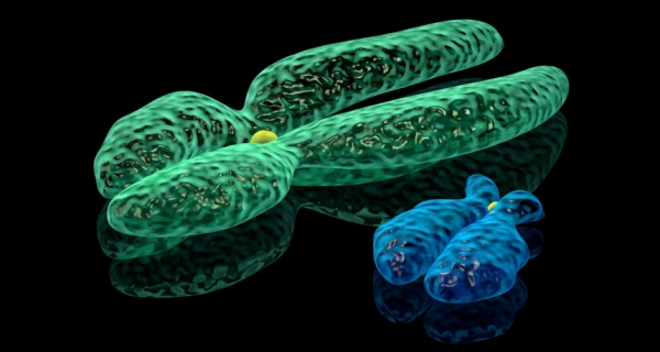 Генетика – наука яка вивчає закономірність успадкування та їх ознаки by Vynnyk Natala - Ourboox.com