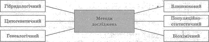 Генетика – наука яка вивчає закономірність успадкування та їх ознаки by Vynnyk Natala - Ourboox.com