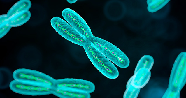 Мінливість ознак і її типи by Nadia Bazyuk - Ourboox.com