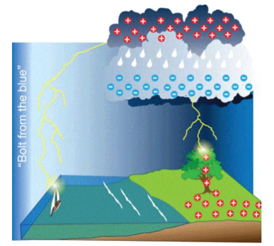 البرق by Majed Rezeq - Illustrated by ماجد محمد رزق - Ourboox.com
