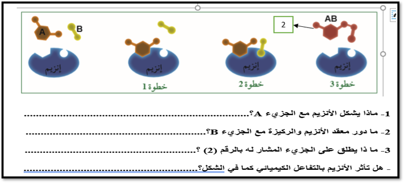 الانزيمات by SAEDA SHALTAF - Ourboox.com