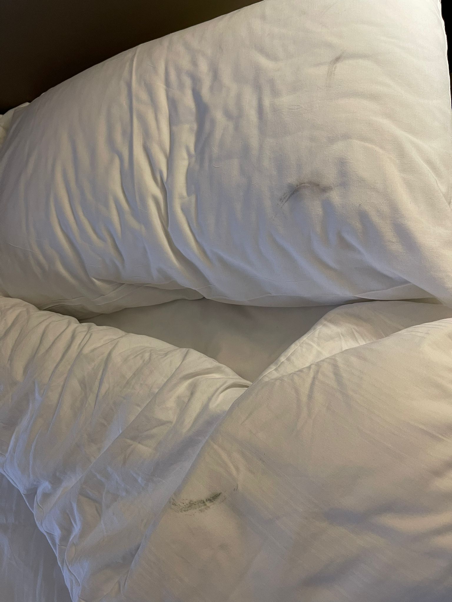 What is friendship by Inna Smirnov - Ourboox.com