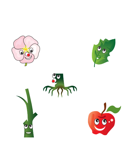 أجزاء النباتات ووظائفها by Reemshada - Illustrated by ريم شحادة - Ourboox.com