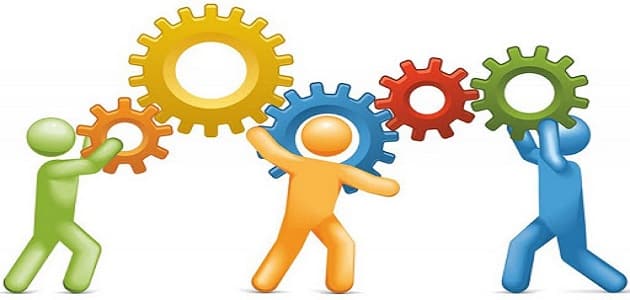 أجزاء النباتات ووظائفها by Reemshada - Illustrated by ريم شحادة - Ourboox.com