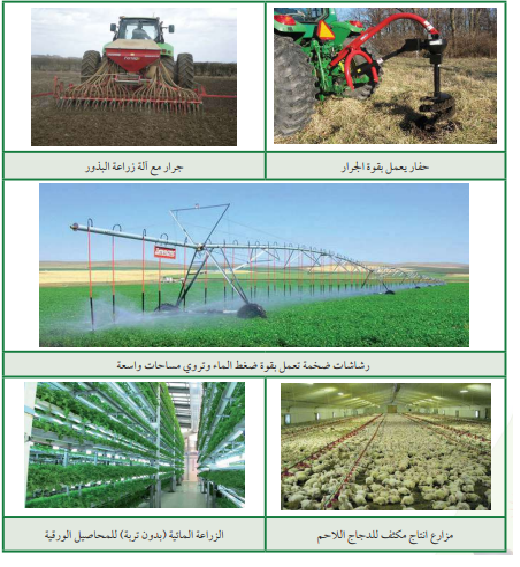 الزراعة فن وعلم وتكنولوجيا by Mhmood - Illustrated by محمود دودو  - Ourboox.com