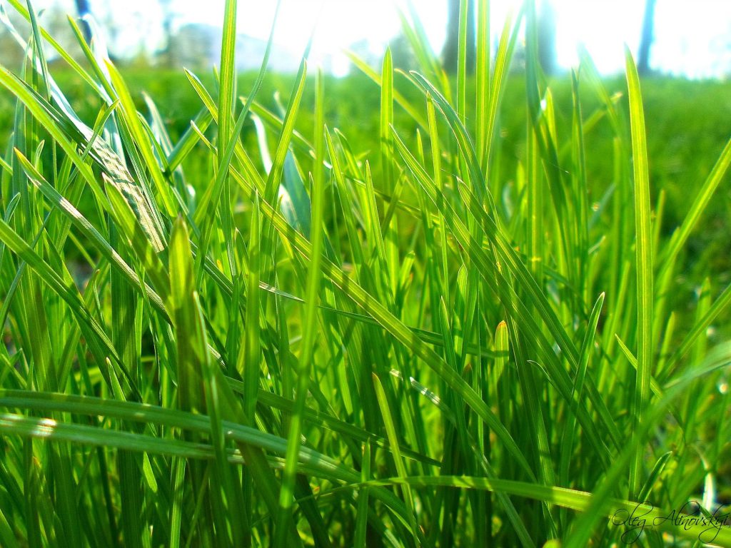 Реферат by Anastasya - Illustrated by ♥ - Ourboox.com