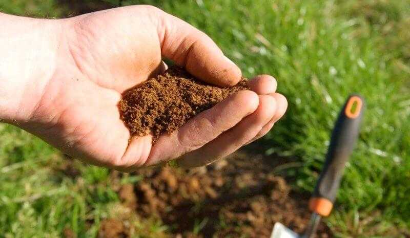 Реферат by Anastasya - Illustrated by ♥ - Ourboox.com