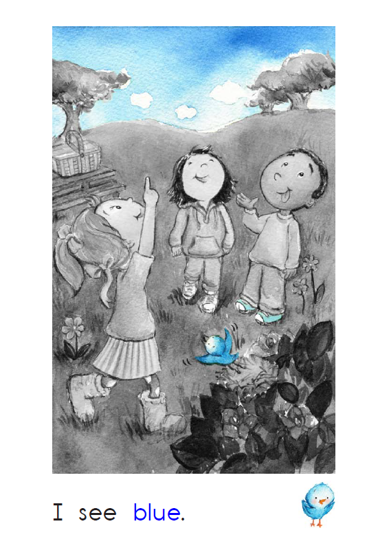 Colours by Sara Rashad Sadiq - Illustrated by Sara Rashad Sadiq - Ourboox.com