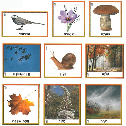 עונת סתיו by naifa - Ourboox.com