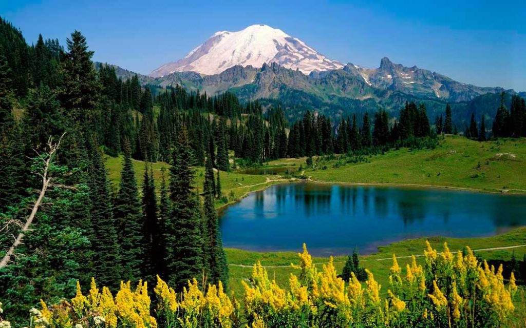 чорновик by Olga - Illustrated by Питулько Ольга  - Ourboox.com