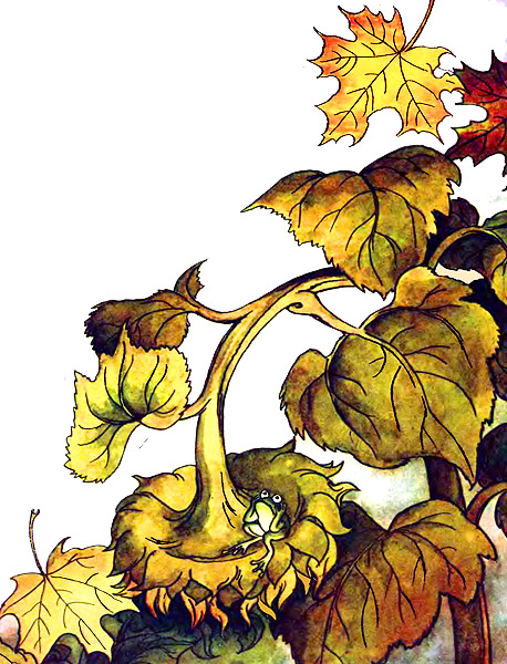 Жабка by Городецька Таня - Ourboox.com