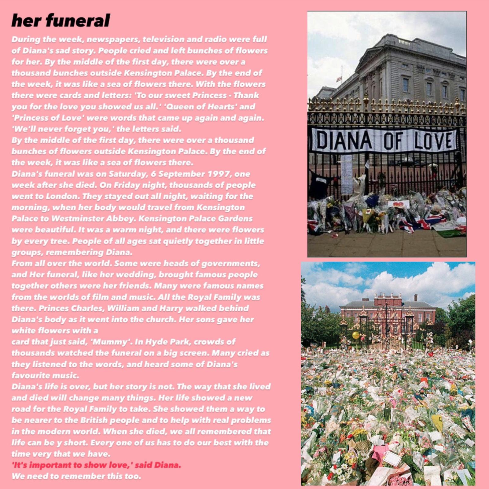 Princess Diana by Ella and Linor - Ourboox.com